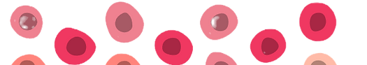 image_edited.png