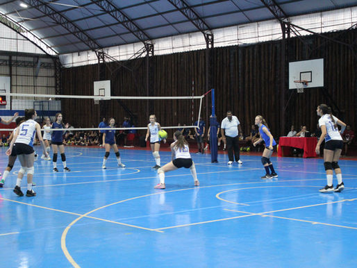 EABH v. OLM -- The Lady Hawks Deliver the Performance of Their Lives in the Volleyball Semifinals