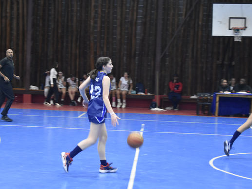 Tough match for the Hawks against the Lions - Girls Basketball, EABH v. St. Paul’s