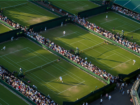 Wimbledon Tournament 2025: Overview of the Tournament & Winners