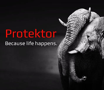 Protektor emergency services