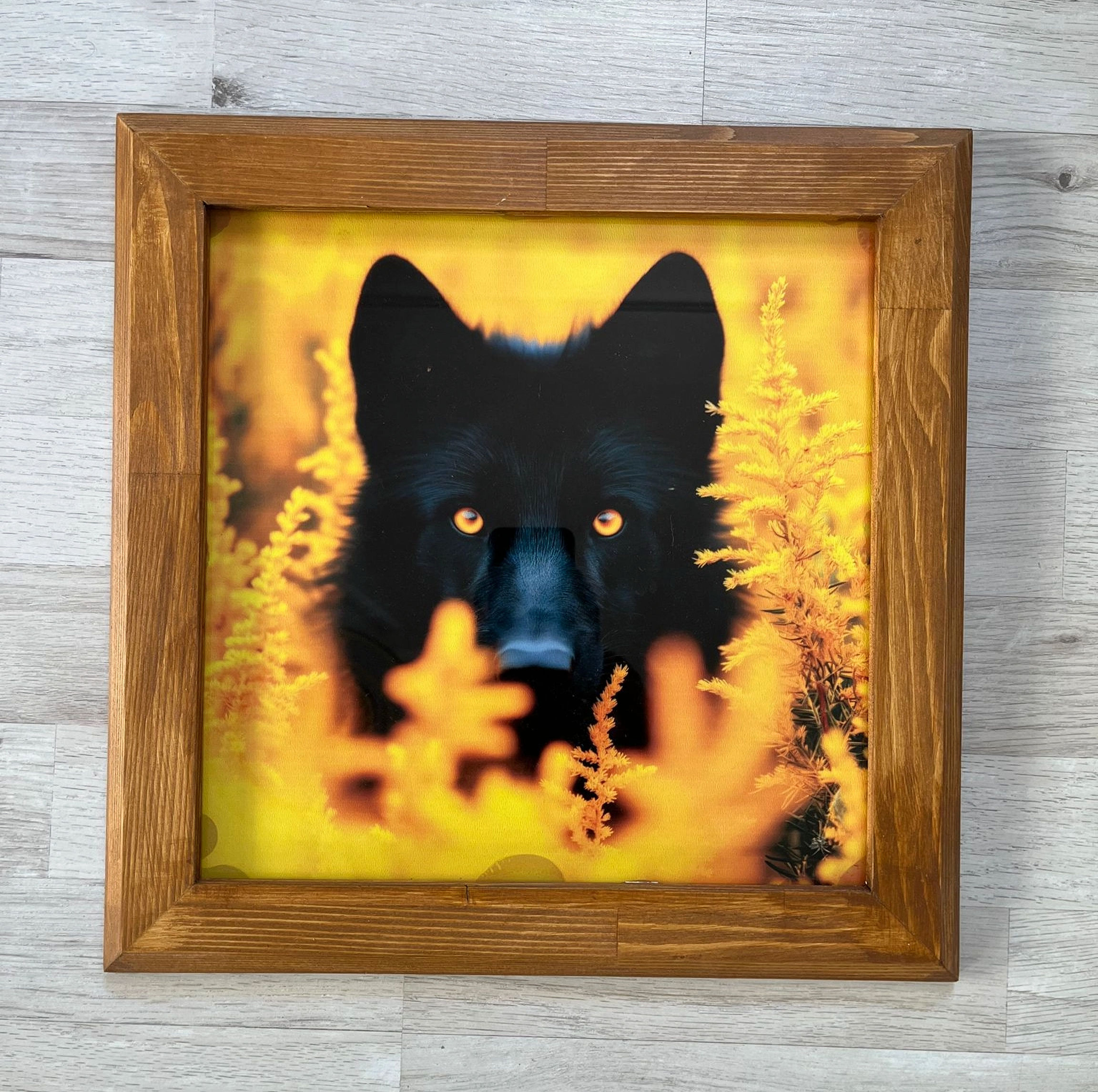 Ahşap Çerçeveli Cam Tablo KURT