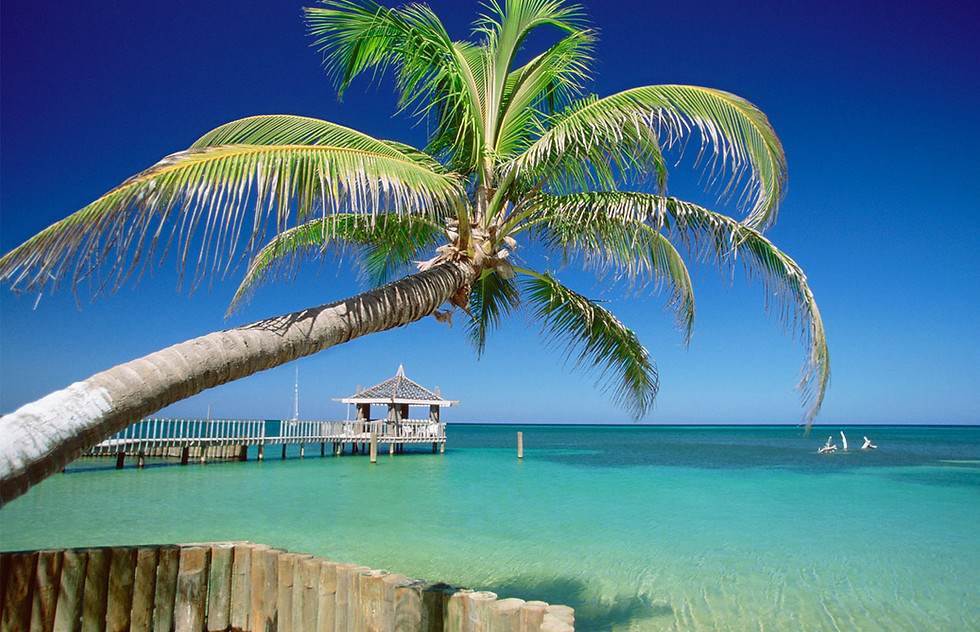 Tropical Island
