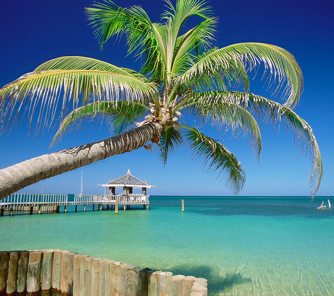 Passeios Praia do Forte Bahia I Emytour Turismo