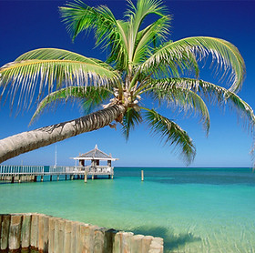 Tropical Island