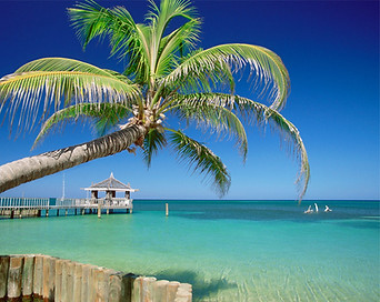 Tropical Island