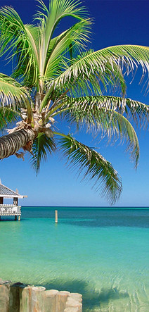 Escena de playa tropical