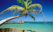 Tropical Beach Scene