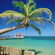 Tropical Island