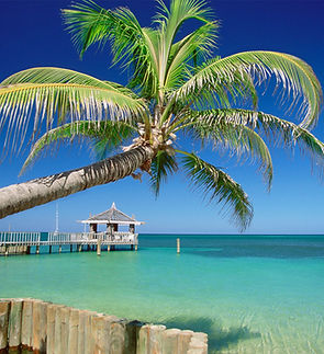 Tropical Beach Scene