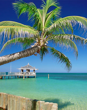 Tropical Beach Scene
