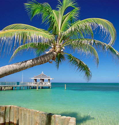 Tropical Island