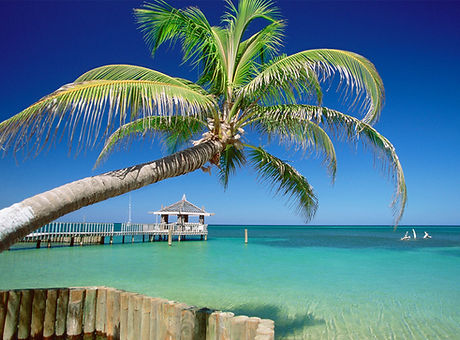 Tropical Beach Scene