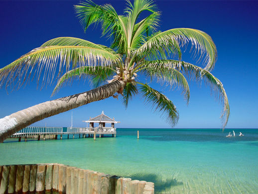 Idyllic, an image inspiring the holiday dream, Rarotonga, Cook Islands