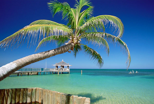 Tropical Island