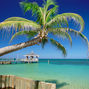 Navigating the Seasons: Your Ultimate Guide to Tropical Travel