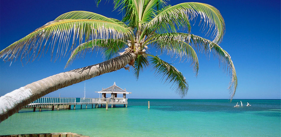 Tropical Island