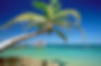 Rarotonga Savvy Swaps Travel Guide
