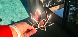 IMG-20260411-WA0017.jpg