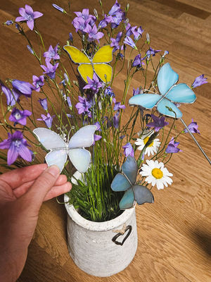 Malí motýlci (zápichy)