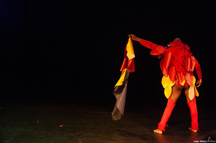 TailFeather (9 of 79).jpeg