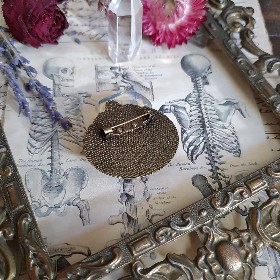 Thumbnail: Steampunk pirate kraken octopus cameo brooch