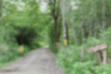 Cycle touring Log Train Trail | cycle touring Port Alberni