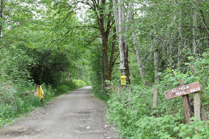 Cycle touring Log Train Trail | cycle touring Port Alberni