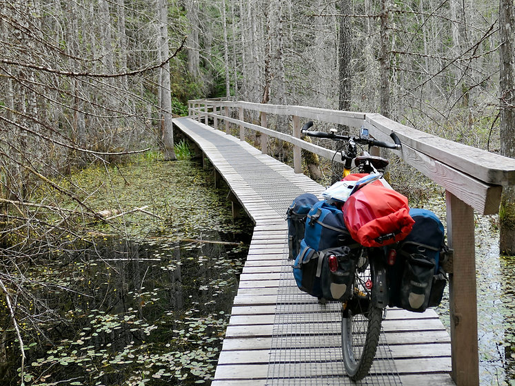 Wetlands trail into Smuggler Cove Provincial Camp, a fav, north of Hafmoon Bay