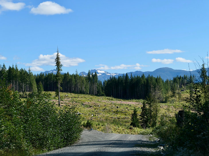 East Main, south to Gold River | bikepacking to Muchalat Lake | cycle touring Vancouver Island