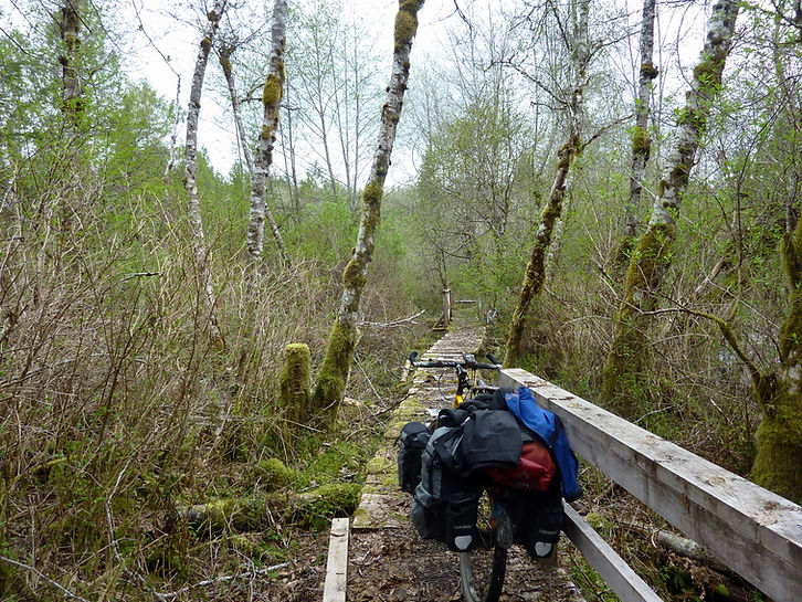 Powell Forest Canoe Circuit | bikepacking portage trails | cycle touring north Sunshine Coast
