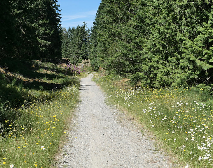 Cowichan Valley Trail | SW Shawnigan Lake | cycle touring south Vancouver Island