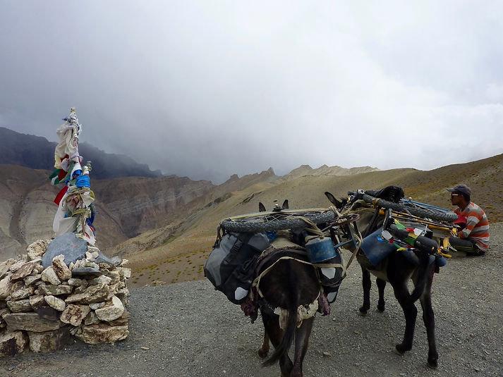 Thorn Nomad cycle touring bike | Thorn Nomad touring Ladakh | Thorn Nomad donkey trek
