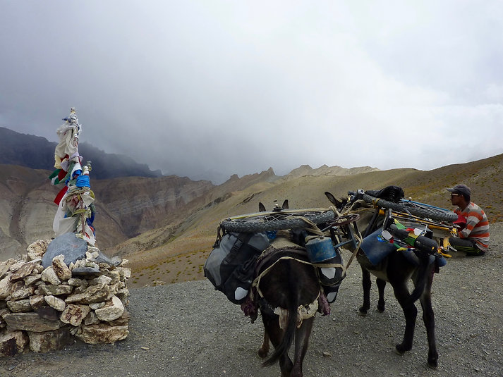 Thorn Nomad cycle touring bike | Thorn Nomad touring Ladakh | Thorn Nomad donkey trek