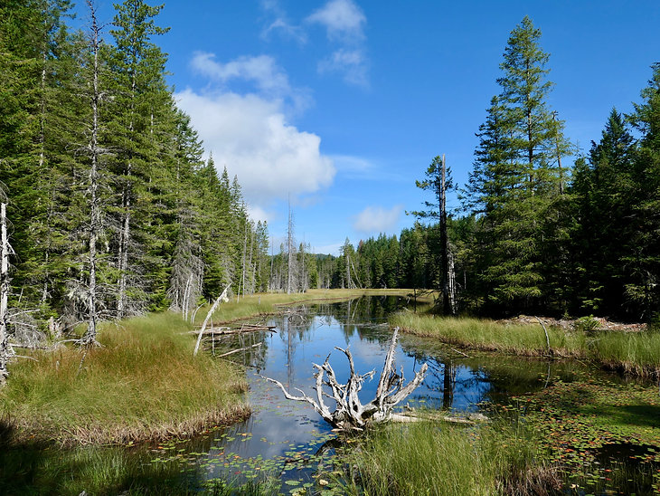 near Bob's Lake Rec Camp | bikepacking Texada Island | cycle touring north Sunshine Coast
