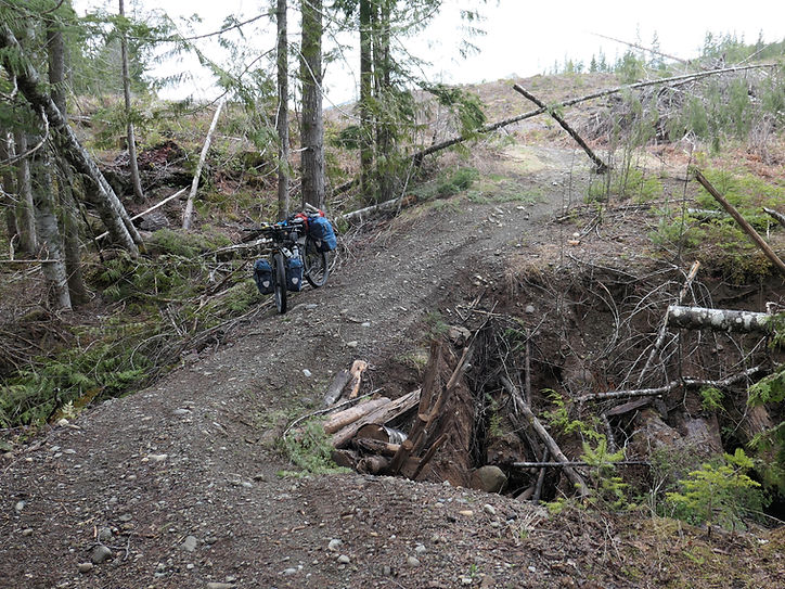 Backroads into Regan Lake | bikepacking Regan Lake | bikepacking NW from Courtenay