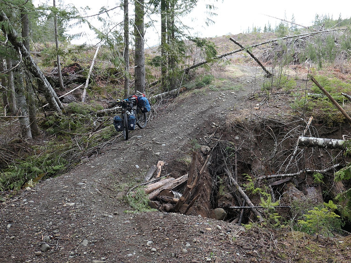 Backroads into Regan Lake | bikepacking Regan Lake | bikepacking NW from Courtenay
