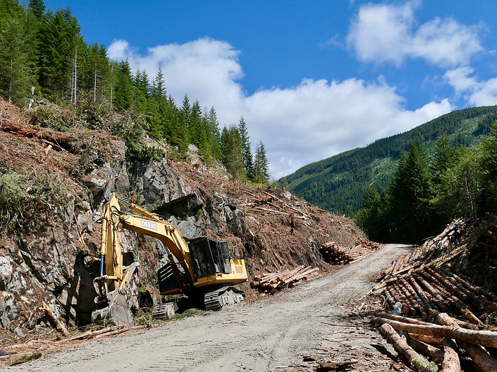 Logging equipment parked along a backroad during downtime. Off West Jordan Main, north of Port Renfrew. Bikepacking south Vancouver Island