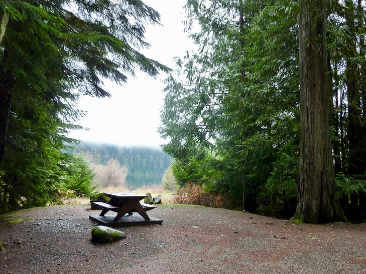 Ralph River Provincial Campground | Buttle Lake in Strathcona Park | cycle touring Vancouver Island