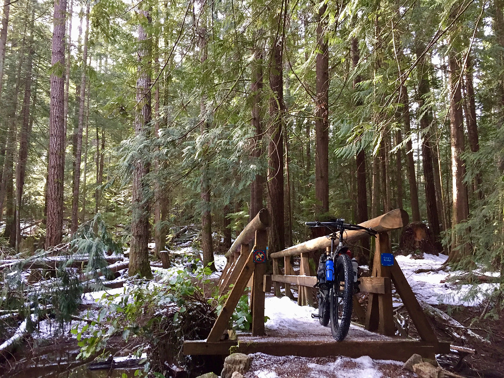Puntledge River trails