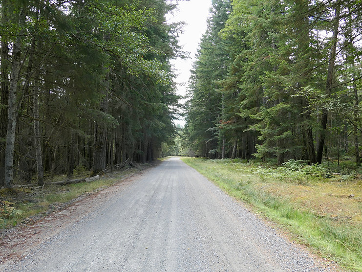Central High Road, Van Anda to Shelter Bay | cycle touring Texada Isand