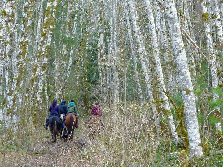 Horse Camps for equestrians | Salmon-Brewster Horse Trail | cycle touring Vancouver Island