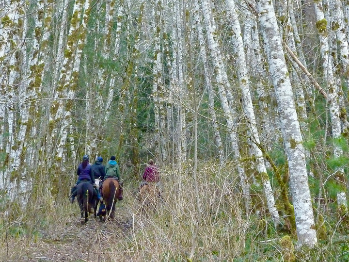 Horse Camps for equestrians | Salmon-Brewster Horse Trail | cycle touring Vancouver Island