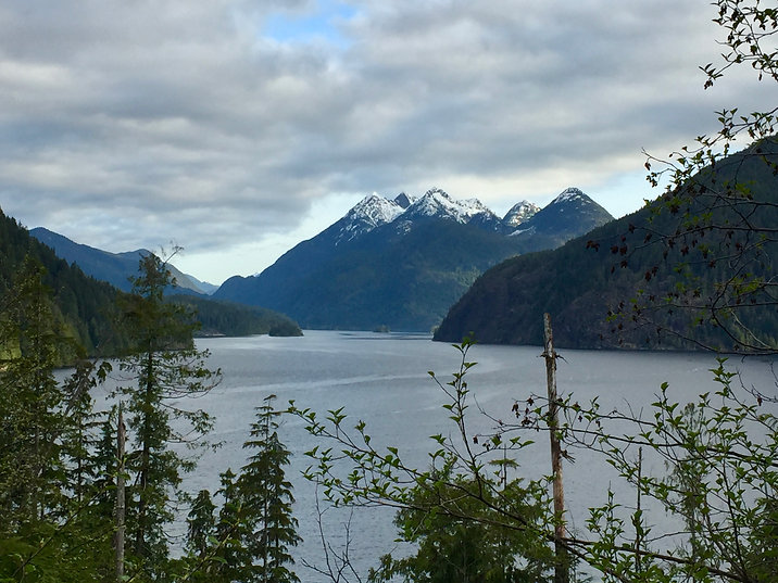 riding shores of Tlupana Inlet | Cougar Creek Rec Camp | bikepacking from Gold River