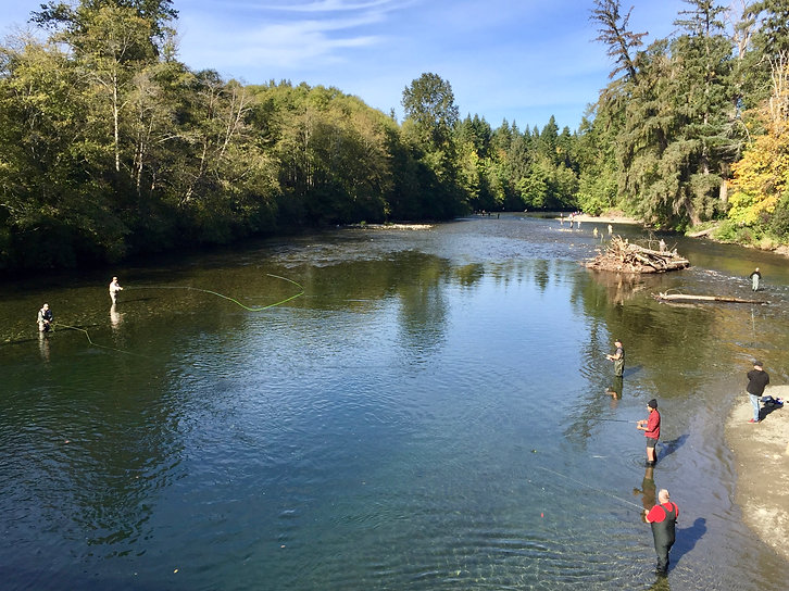 Salmon fishing | Puntledge River bridge, north Courtenay | cycle touring Vancouver Island