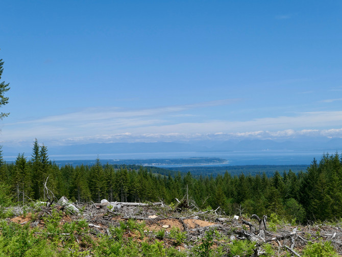 South from Courtenay on the backroads