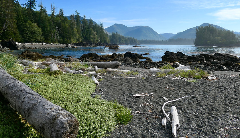 Side Bay campground | bikepacking west of Port Alice | cycle touring north Vancouver Island