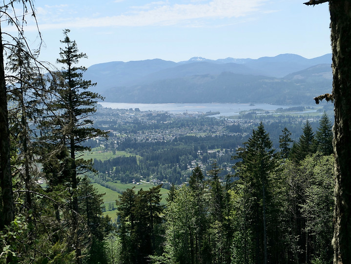 Bikepacking Port Alberni | bikepacking Horne Lake to Port Alberni
