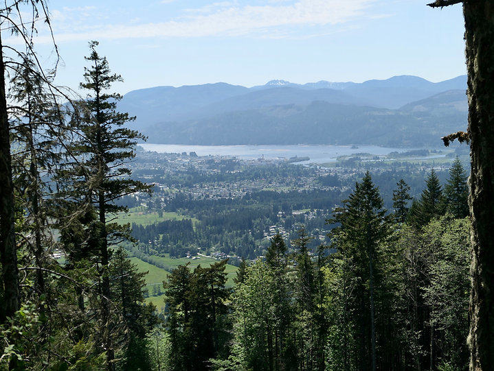 Bikepacking Port Alberni | bikepacking Horne Lake to Port Alberni