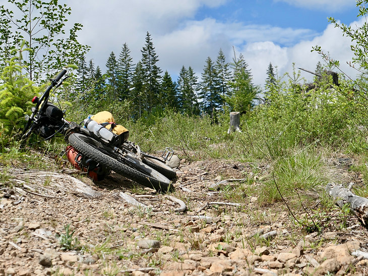 Backroads south of Courtenay | bikepacking south of Courtenay
